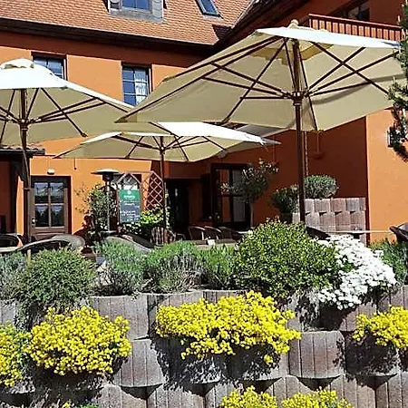Haus Zur Waldbruecke Mini-hôtel Marktheidenfeld